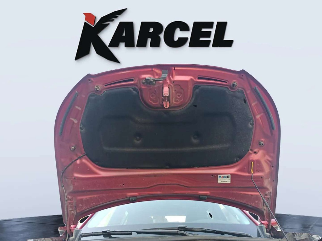 CAR HOOD