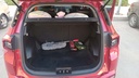 TRUNK