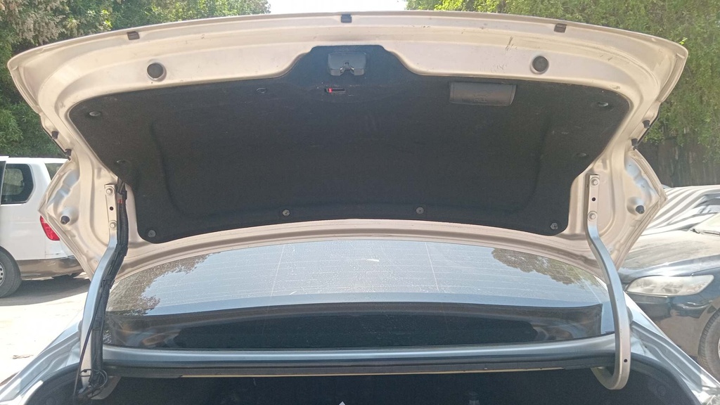 TRUNK HOOD
