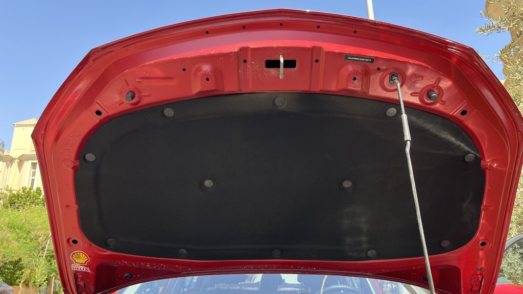CAR HOOD