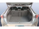 TRUNK