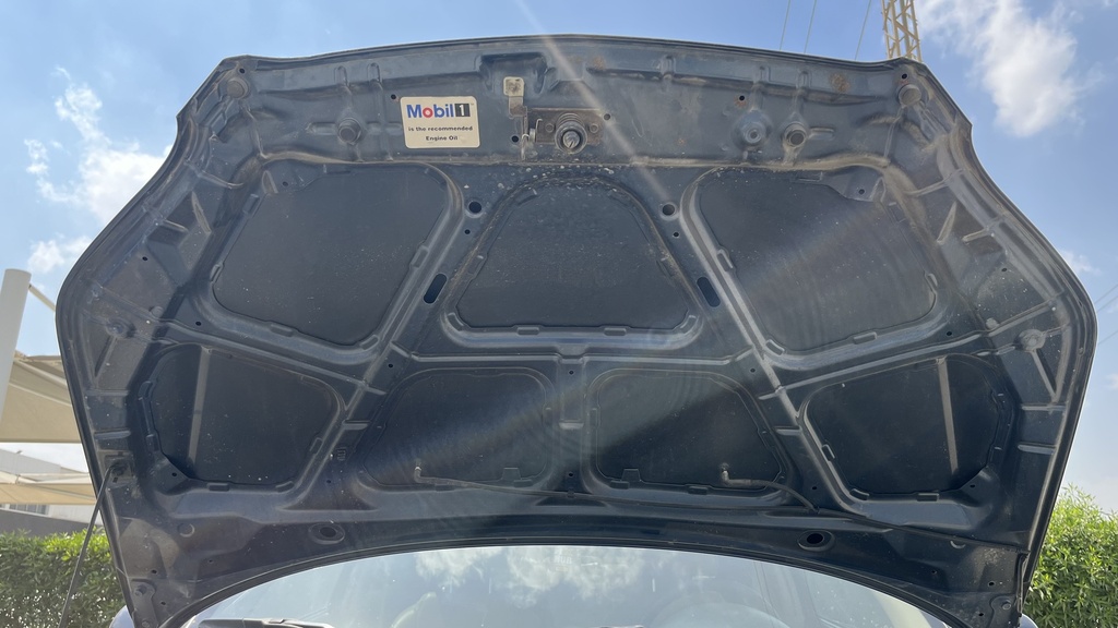 CAR HOOD