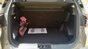 TRUNK