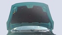CAR HOOD