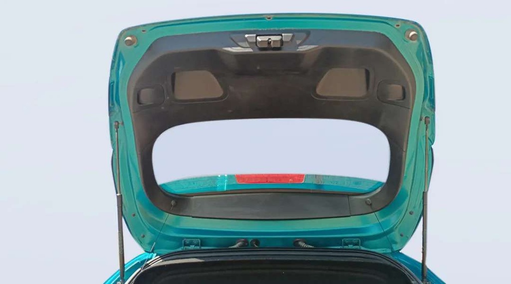 TRUNK HOOD