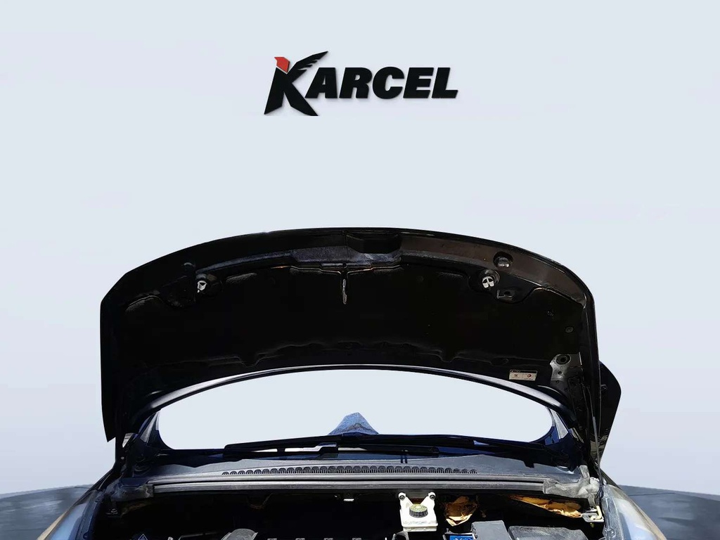 CAR HOOD
