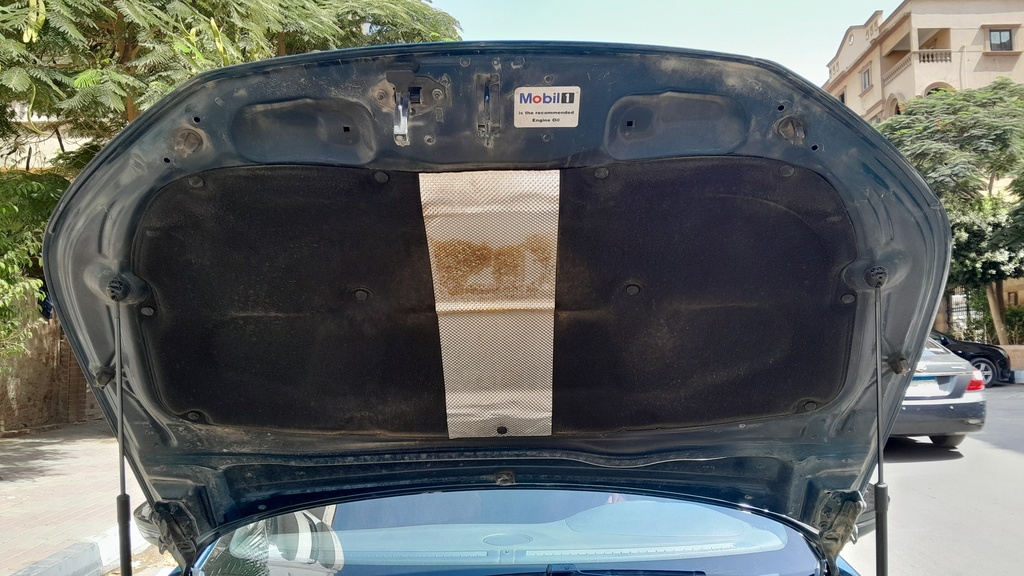 CAR HOOD
