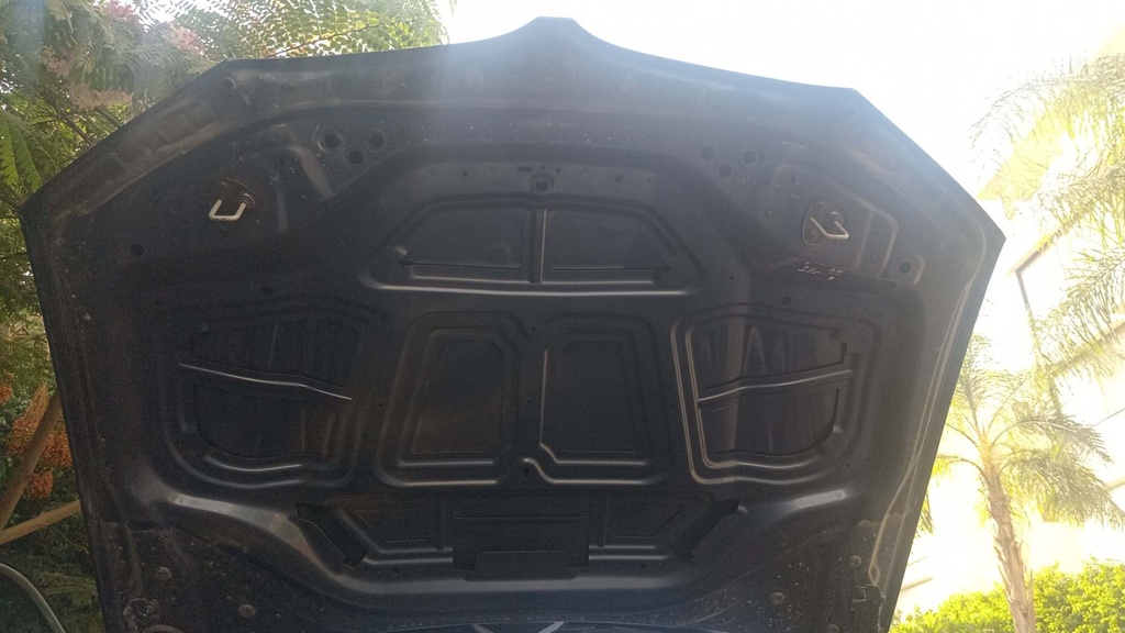 CAR HOOD