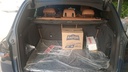 TRUNK