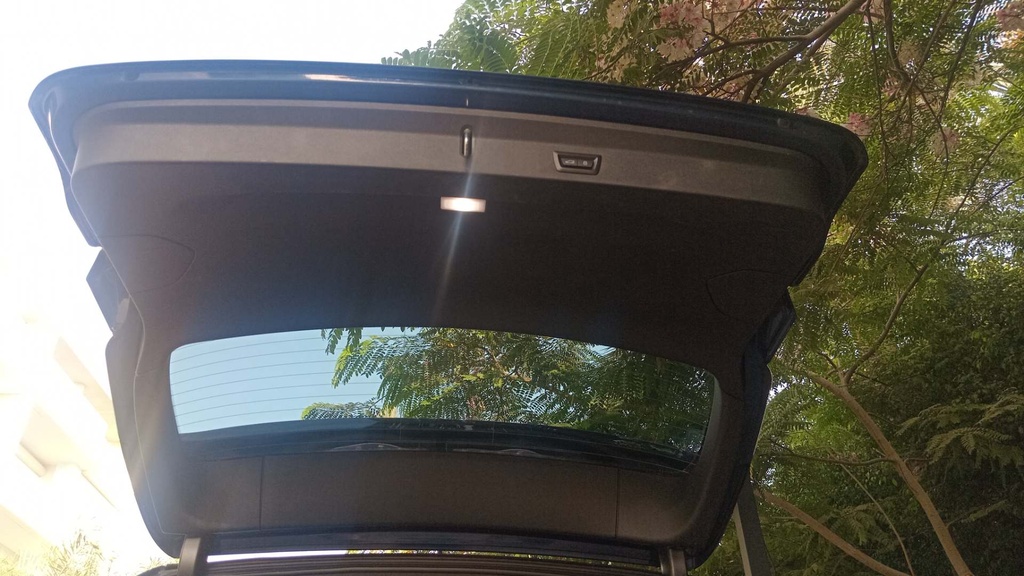 TRUNK HOOD