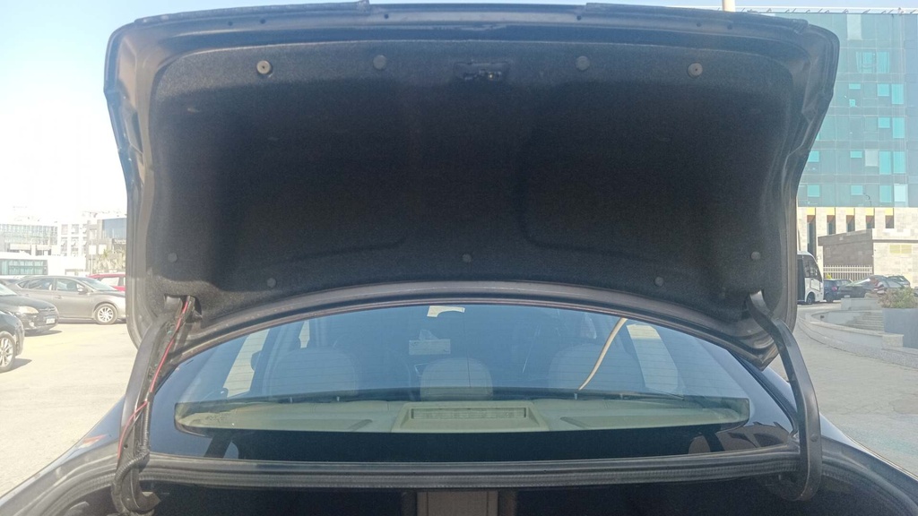 TRUNK HOOD