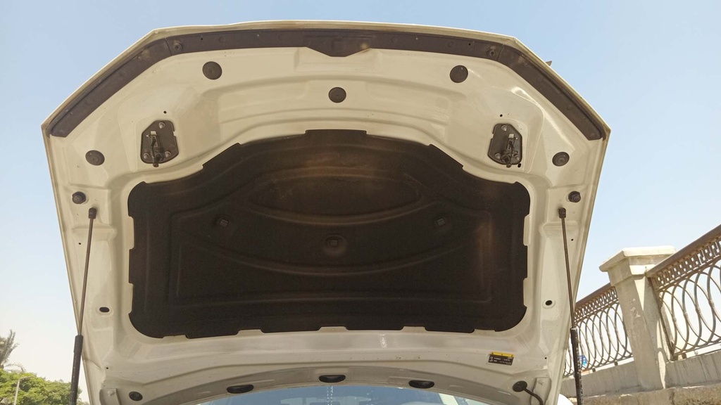 CAR HOOD