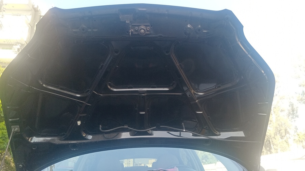 CAR HOOD