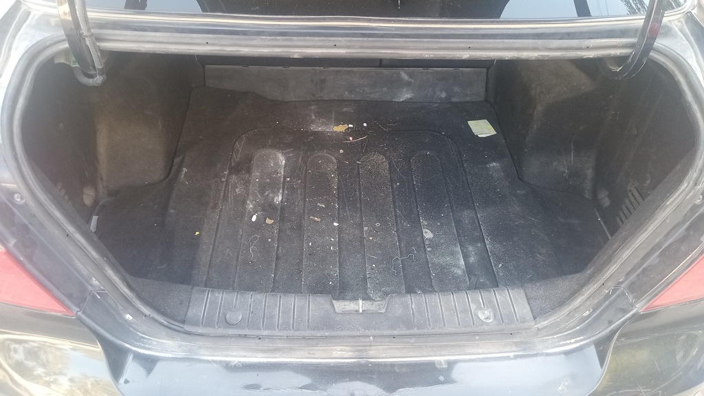 TRUNK