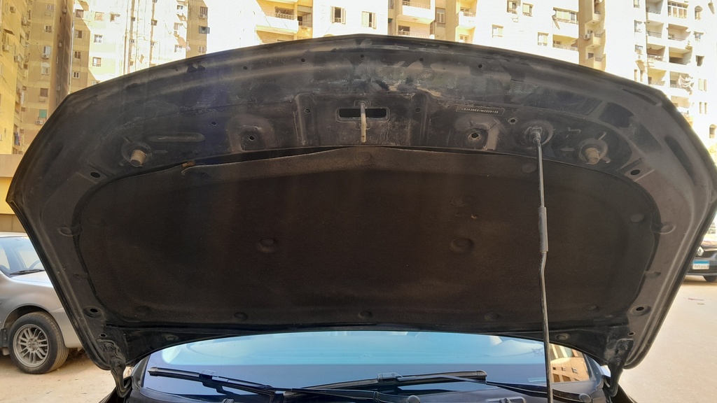 CAR HOOD