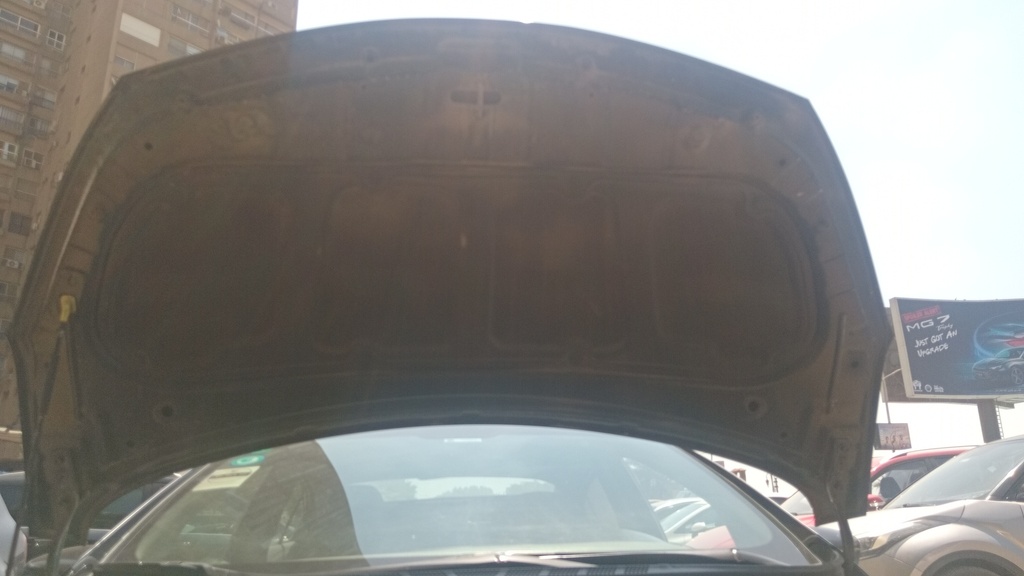 CAR HOOD