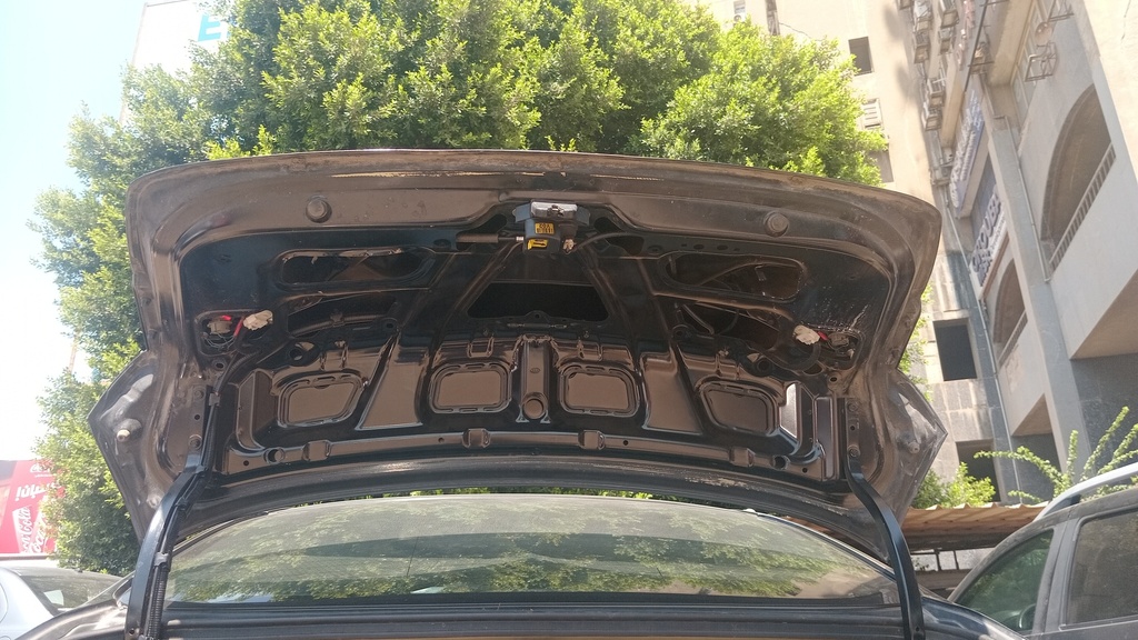 TRUNK HOOD