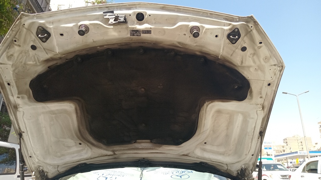 CAR HOOD