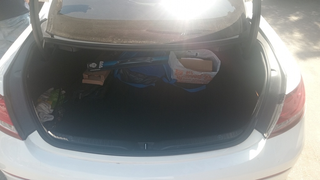 TRUNK