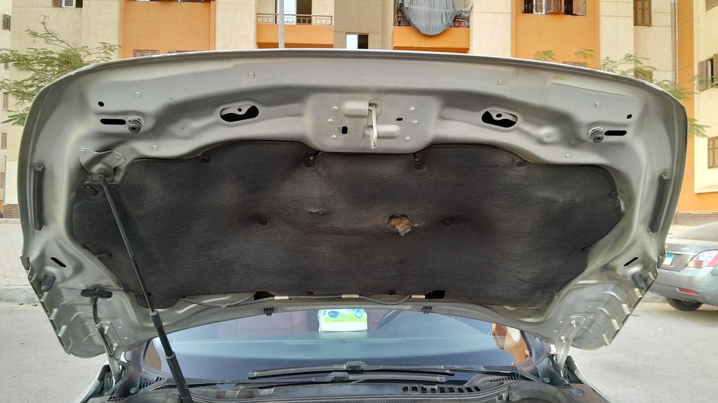 CAR HOOD
