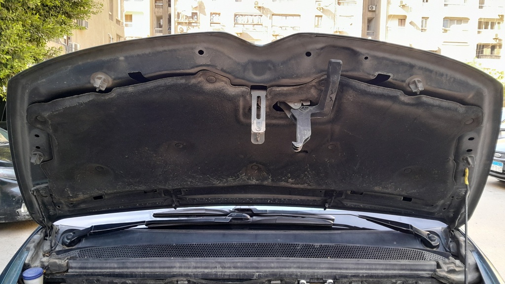 CAR HOOD