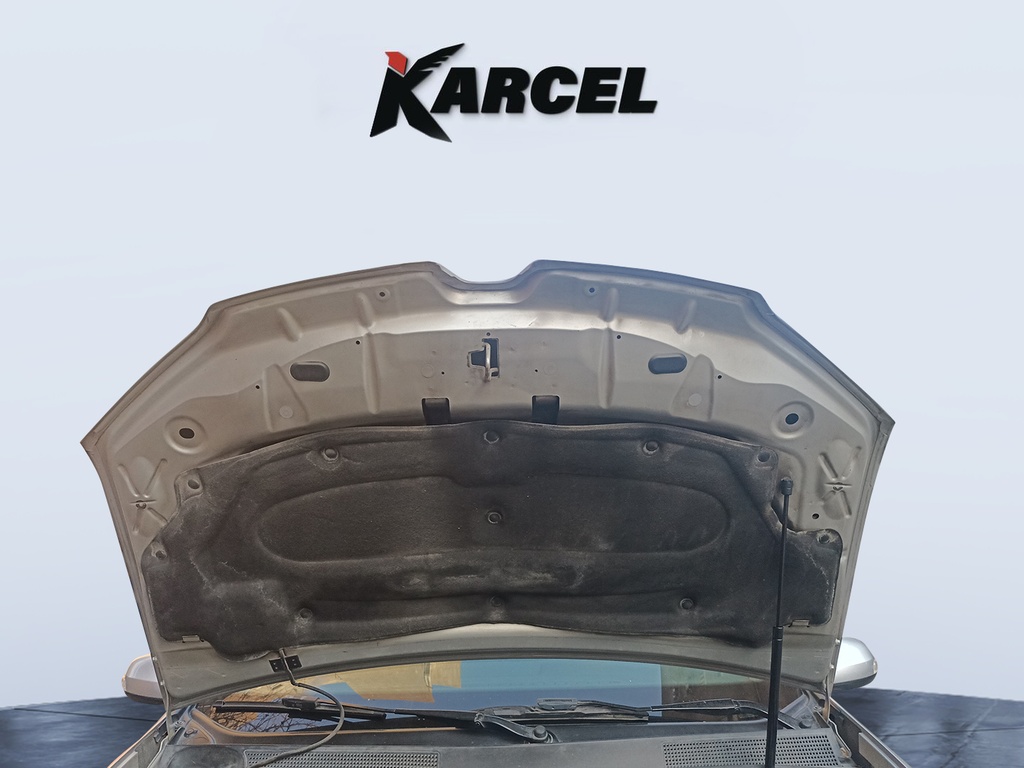 CAR HOOD
