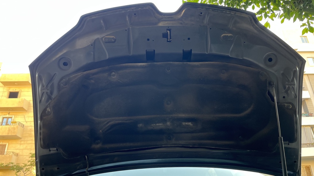 CAR HOOD