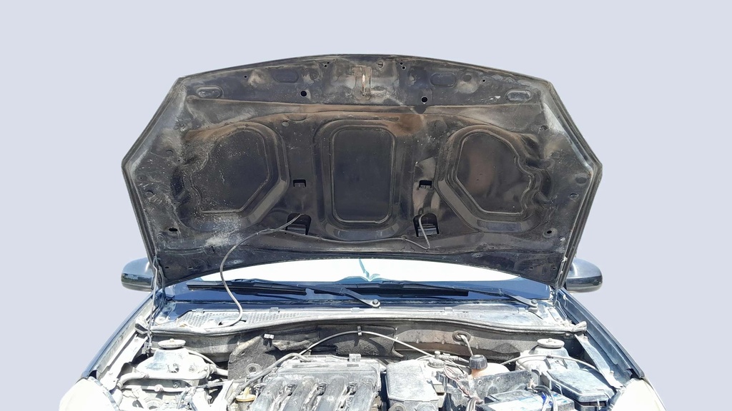 CAR HOOD