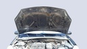 CAR HOOD