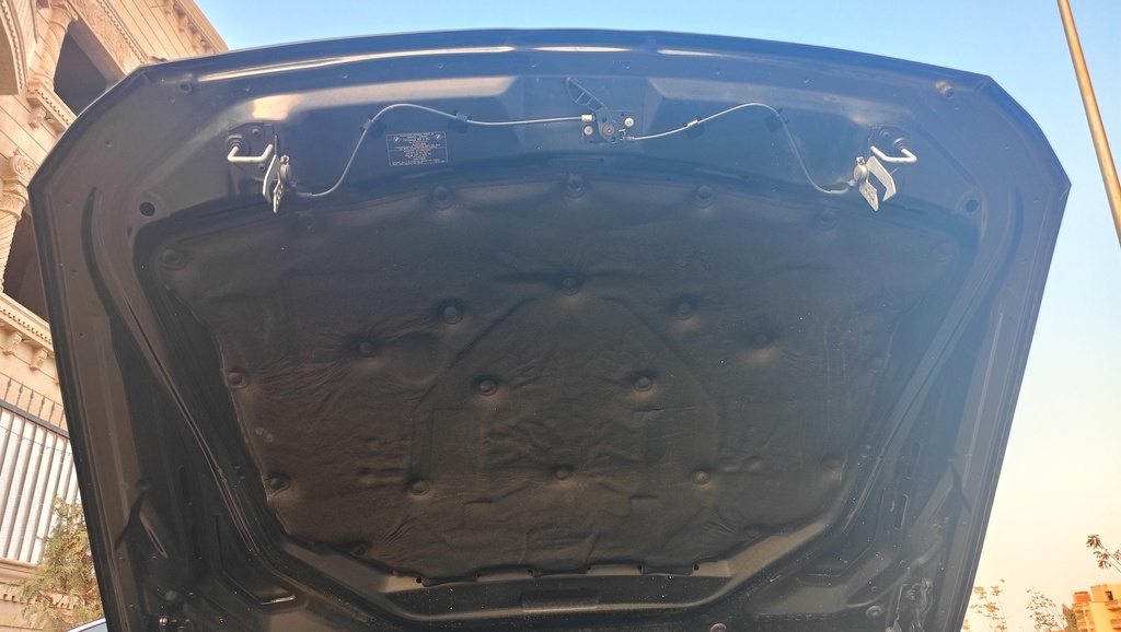 CAR HOOD