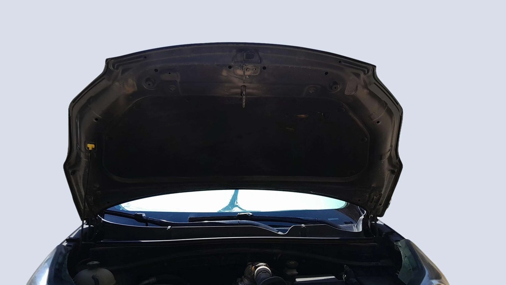 CAR HOOD