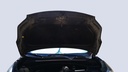 CAR HOOD
