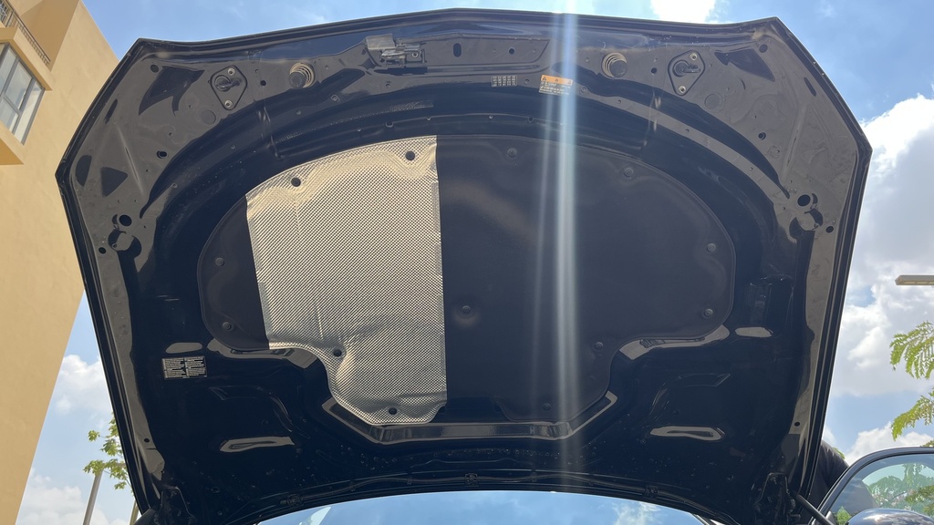 CAR HOOD