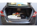 TRUNK