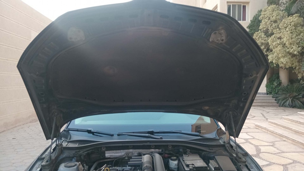 CAR HOOD