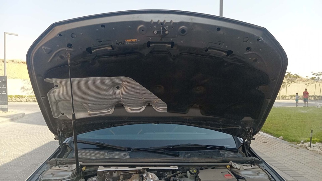 CAR HOOD