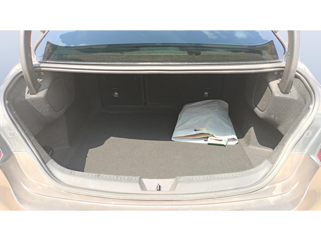 TRUNK