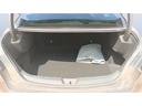 TRUNK