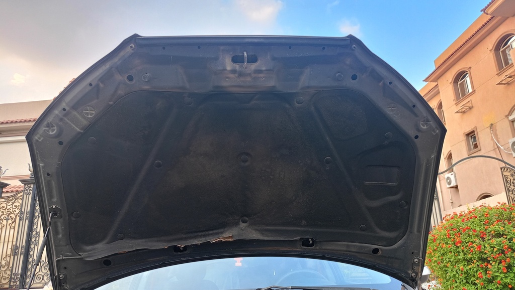 CAR HOOD