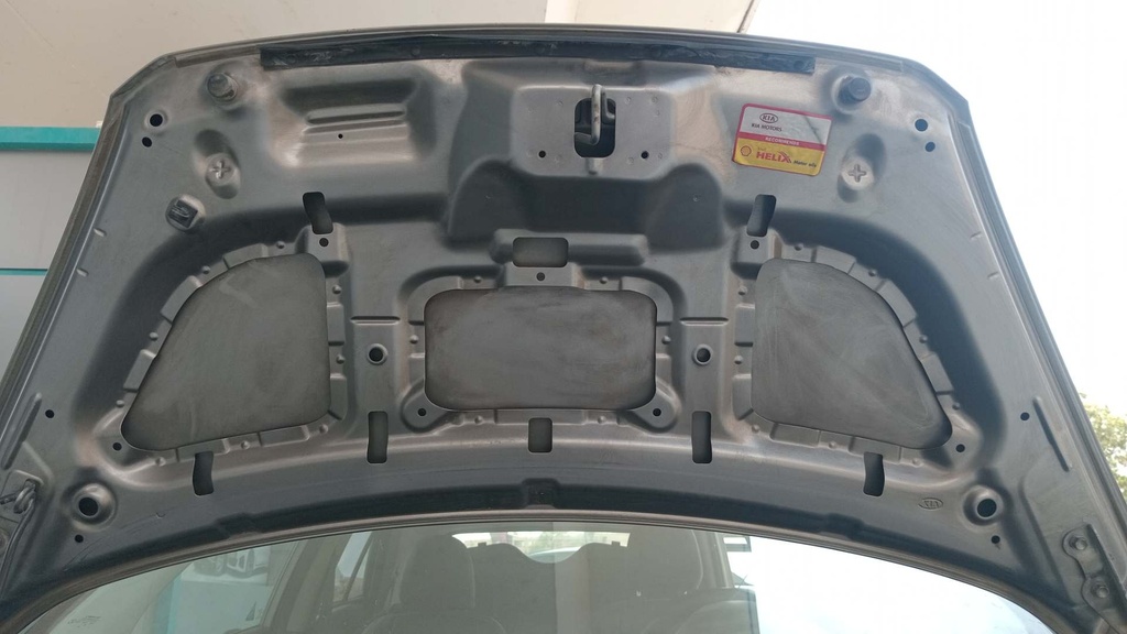 CAR HOOD