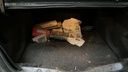 TRUNK