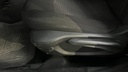 DRIVER SEAT SWITCHES