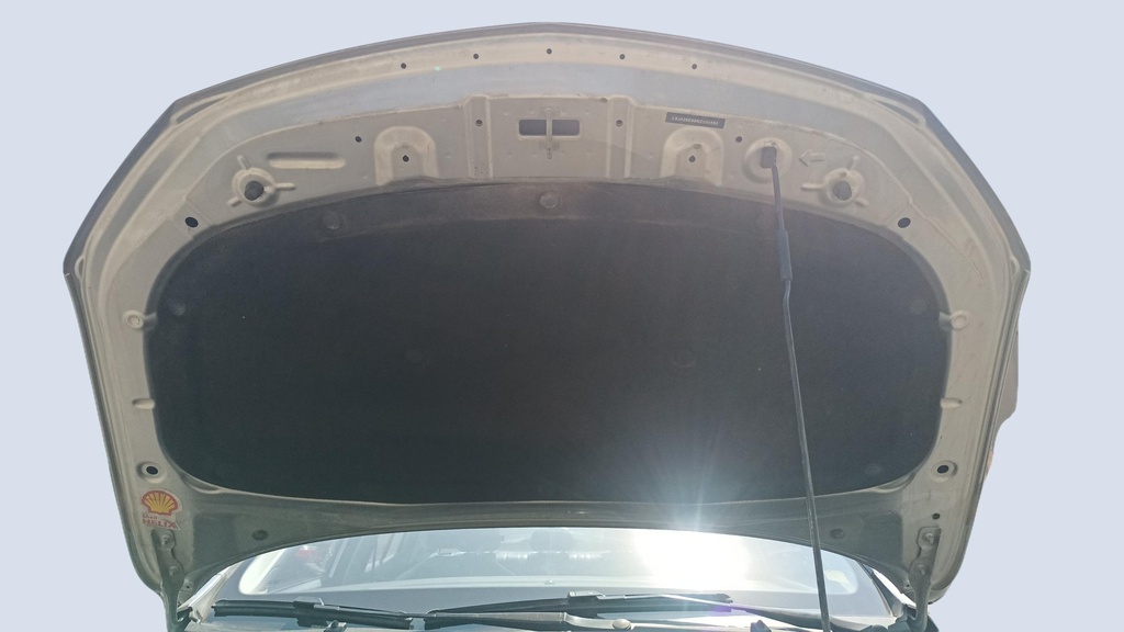 CAR HOOD
