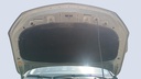 CAR HOOD