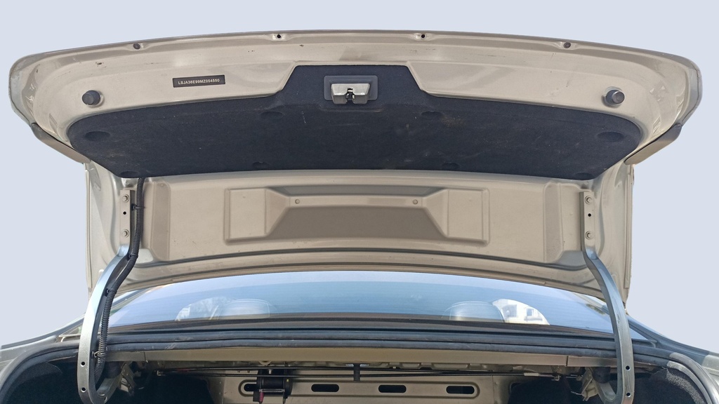 TRUNK HOOD
