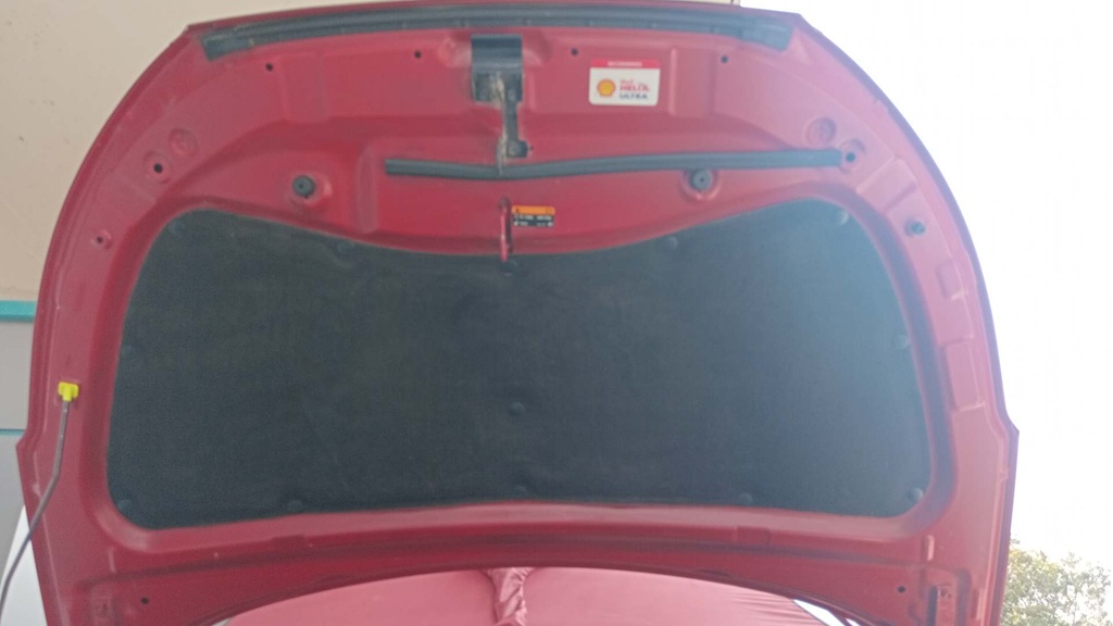 CAR HOOD