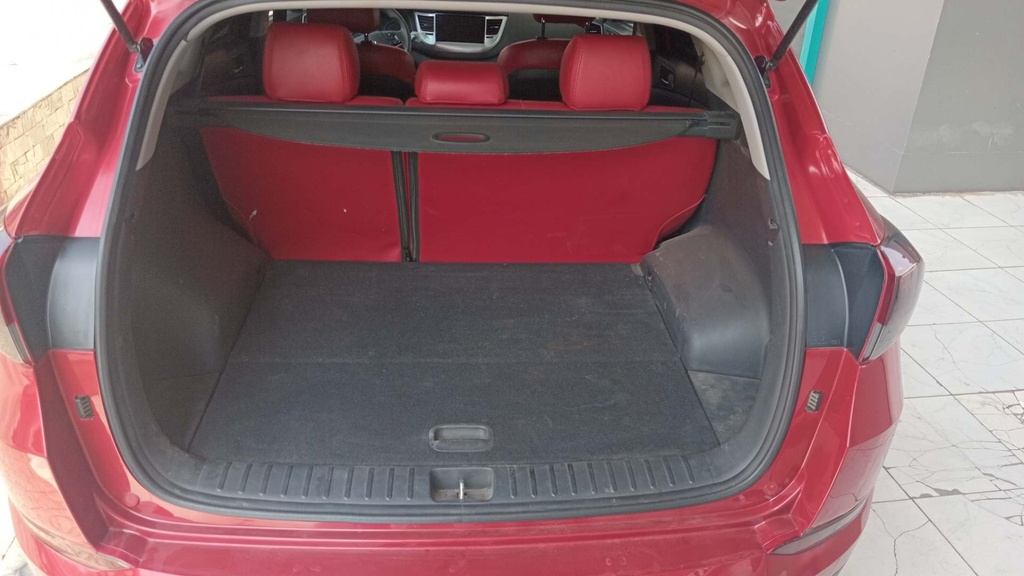TRUNK