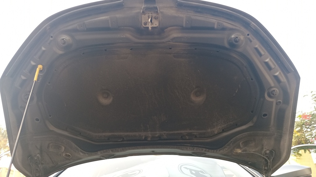 CAR HOOD