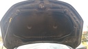 CAR HOOD