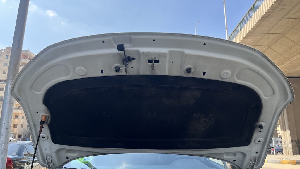 CAR HOOD
